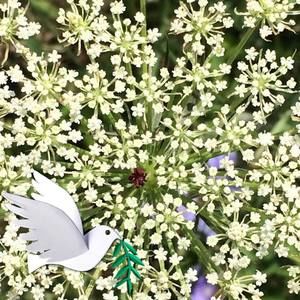 Meet your Posher, Lizzie